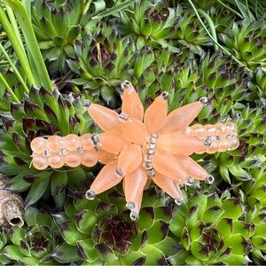 1980's Peach Bellini Frosted Lucite Anemone French Barrette